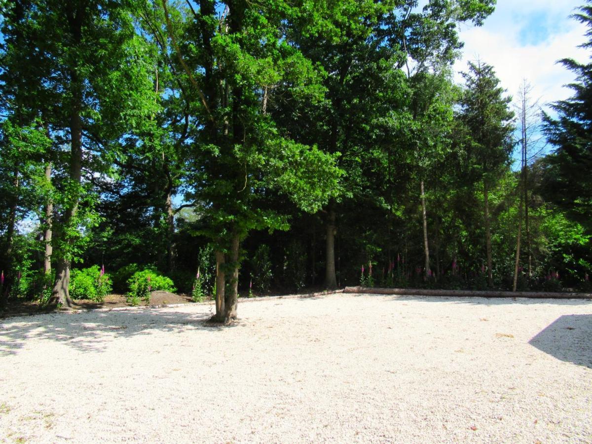 Villa Secret Wellness Oase Holten Esterno foto
